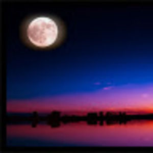 Meet your Posher, Kaitlyn